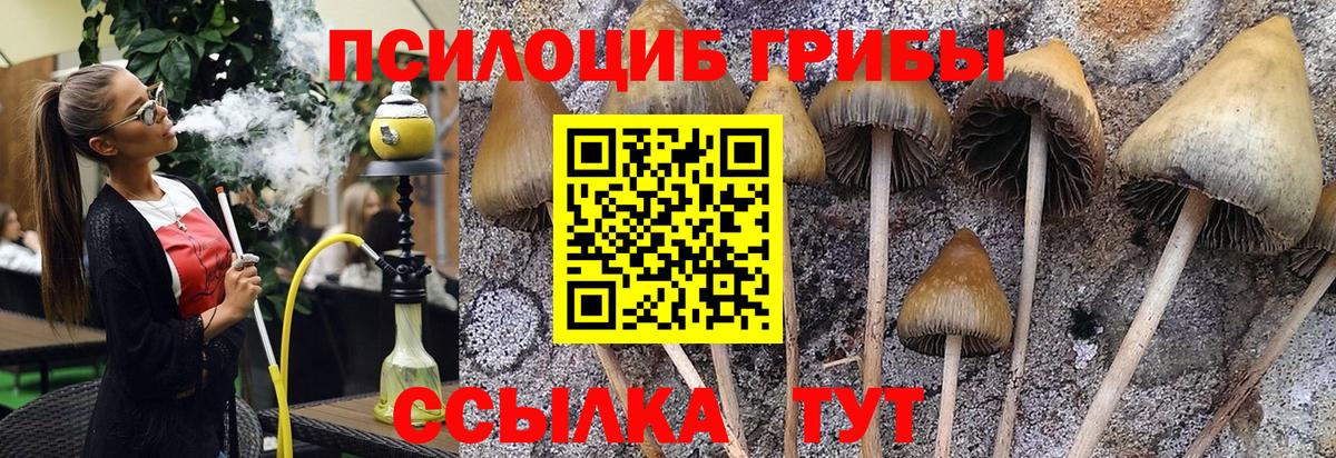 Псилоцибиновые грибы прущие грибы Урюпинск